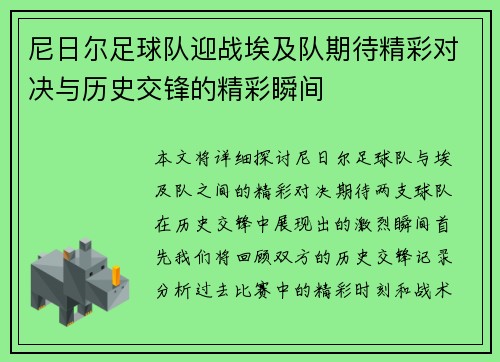 尼日尔足球队迎战埃及队期待精彩对决与历史交锋的精彩瞬间